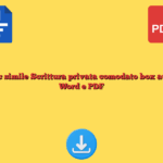 Fac simile Scrittura privata comodato box auto Word e PDF