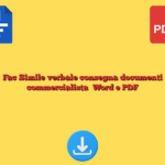 Fac Simile verbale consegna documenti commercialista​ Word e PDF