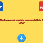 Fac Simile procura speciale commercialista​ Word e PDF