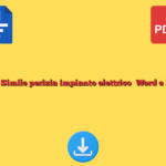 Fac Simile perizia impianto elettrico Word e PDF