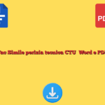 Fac Simile perizia tecnica CTU​ Word e PDF